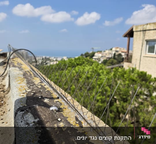 דוקרנים להרחקת יונים על גג עם נוף ברקע